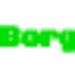 BorgBackup