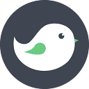 Budgie