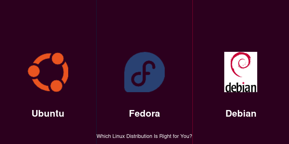 Ubuntu vs Fedora vs Debian comparison - which Linux distribution is right for you?