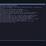 OpenVPN