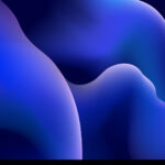 Solus