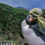 WebDesktop